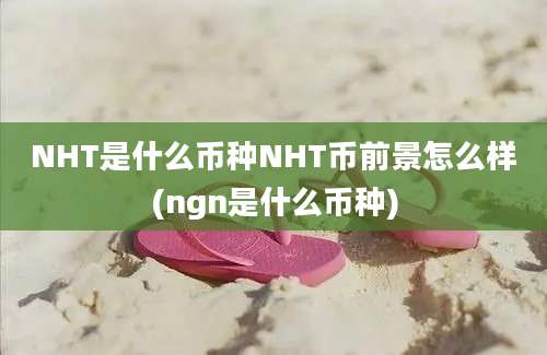 NHT是什么币种NHT币前景怎么样(ngn是什么币种)