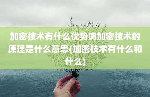 加密技术有什么优势吗加密技术的原理是什么意思(加密技术有什么和什么)