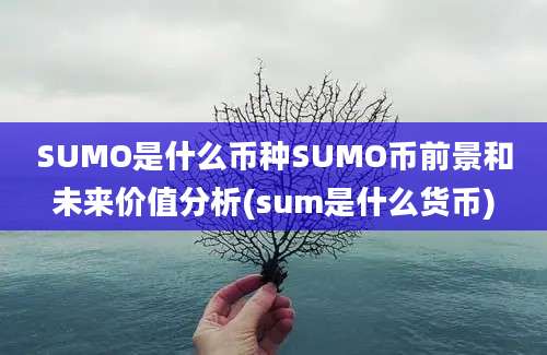 SUMO是什么币种SUMO币前景和未来价值分析(sum是什么货币)