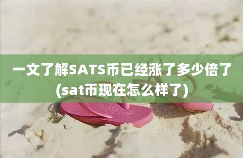 一文了解SATS币已经涨了多少倍了(sat币现在怎么样了)