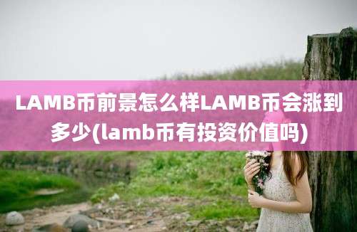 LAMB币前景怎么样LAMB币会涨到多少(lamb币有投资价值吗)