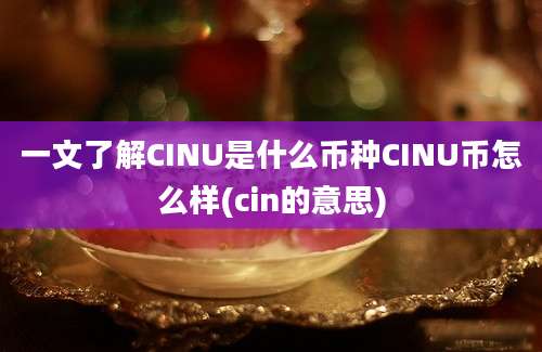 一文了解CINU是什么币种CINU币怎么样(cin的意思)