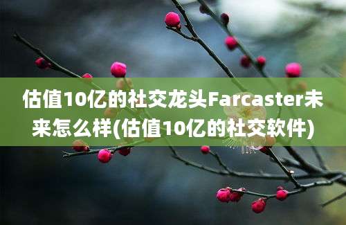 估值10亿的社交龙头Farcaster未来怎么样(估值10亿的社交软件)