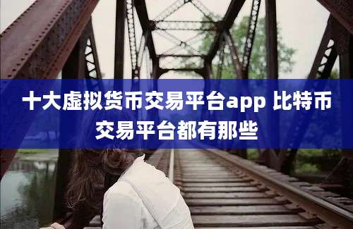 十大虚拟货币交易平台app 比特币交易平台都有那些