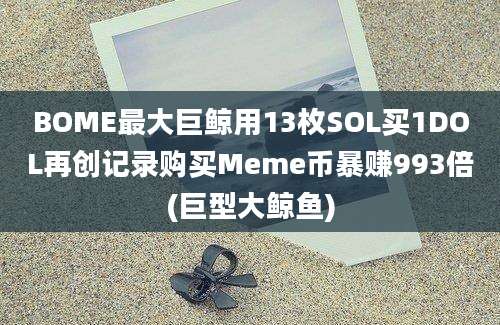 BOME最大巨鲸用13枚SOL买1DOL再创记录购买Meme币暴赚993倍(巨型大鲸鱼)