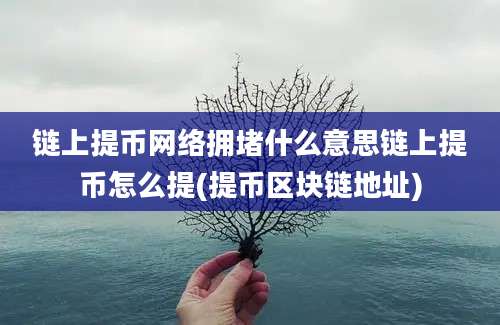 链上提币网络拥堵什么意思链上提币怎么提(提币区块链地址)