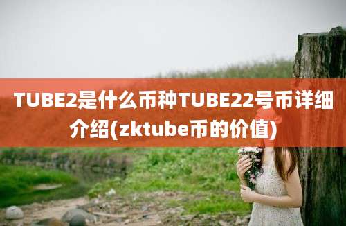 TUBE2是什么币种TUBE22号币详细介绍(zktube币的价值)