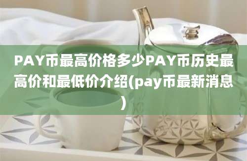 PAY币最高价格多少PAY币历史最高价和最低价介绍(pay币最新消息)