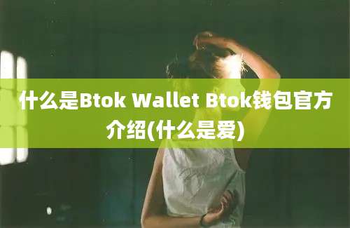 什么是Btok Wallet Btok钱包官方介绍(什么是爱)