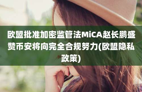 欧盟批准加密监管法MiCA赵长鹏盛赞币安将向完全合规努力(欧盟隐私政策)