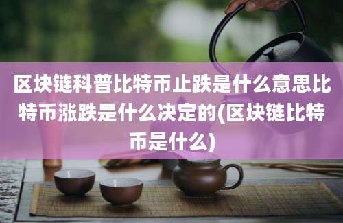 区块链科普比特币止跌是什么意思比特币涨跌是什么决定的(区块链比特币是什么)