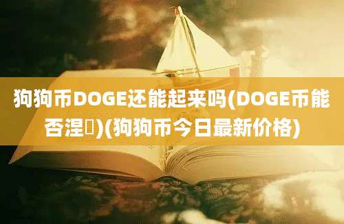 狗狗币DOGE还能起来吗(DOGE币能否涅槃)(狗狗币今日最新价格)