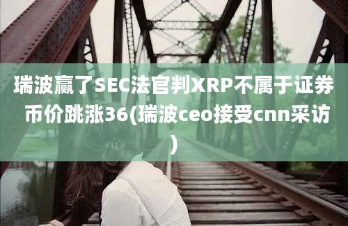 瑞波赢了SEC法官判XRP不属于证券 币价跳涨36(瑞波ceo接受cnn采访)