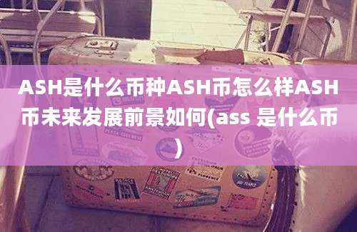 ASH是什么币种ASH币怎么样ASH币未来发展前景如何(ass 是什么币)