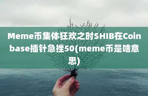 Meme币集体狂欢之时SHIB在Coinbase插针急挫50(meme币是啥意思)