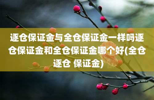 逐仓保证金与全仓保证金一样吗逐仓保证金和全仓保证金哪个好(全仓 逐仓 保证金)