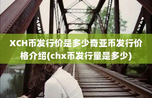 XCH币发行价是多少奇亚币发行价格介绍(chx币发行量是多少)