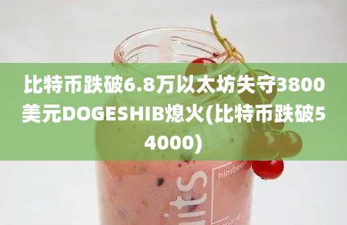 比特币跌破6.8万以太坊失守3800美元DOGESHIB熄火(比特币跌破54000)