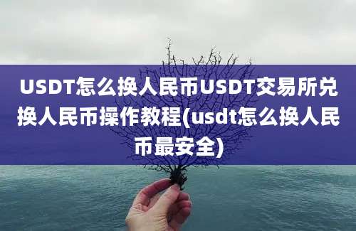 USDT怎么换人民币USDT交易所兑换人民币操作教程(usdt怎么换人民币最安全)