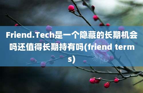 Friend.Tech是一个隐藏的长期机会吗还值得长期持有吗(friend terms)