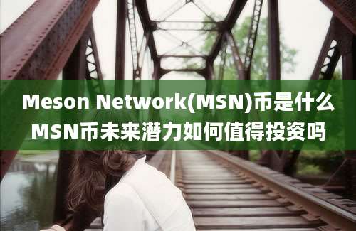 Meson Network(MSN)币是什么MSN币未来潜力如何值得投资吗