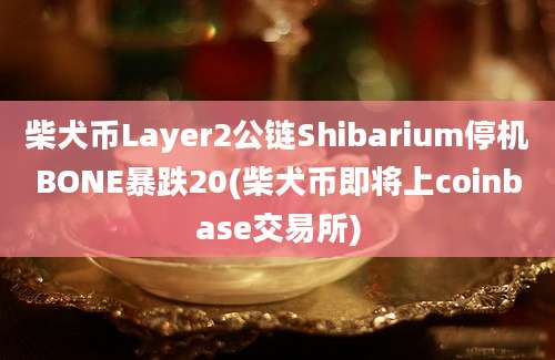 柴犬币Layer2公链Shibarium停机BONE暴跌20(柴犬币即将上coinbase交易所)