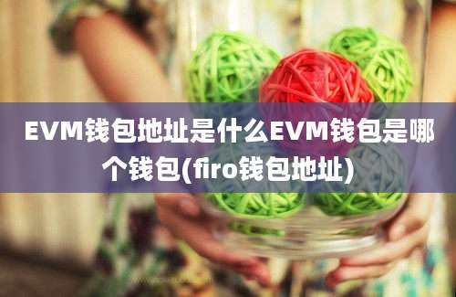 EVM钱包地址是什么EVM钱包是哪个钱包(firo钱包地址)