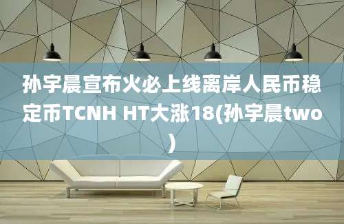 孙宇晨宣布火必上线离岸人民币稳定币TCNH HT大涨18(孙宇晨two)