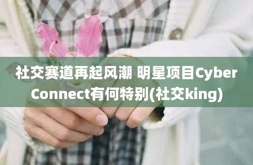 社交赛道再起风潮 明星项目CyberConnect有何特别(社交king)