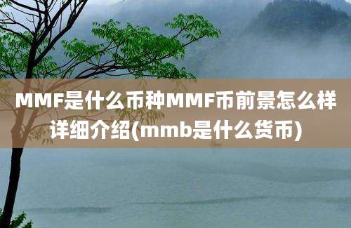 MMF是什么币种MMF币前景怎么样详细介绍(mmb是什么货币)