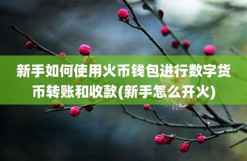 新手如何使用火币钱包进行数字货币转账和收款(新手怎么开火)