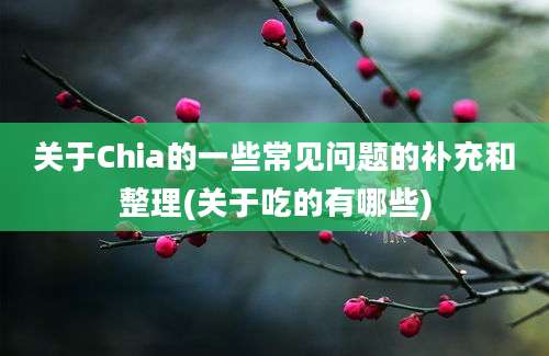 关于Chia的一些常见问题的补充和整理(关于吃的有哪些)