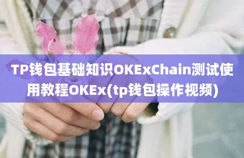 TP钱包基础知识OKExChain测试使用教程OKEx(tp钱包操作视频)