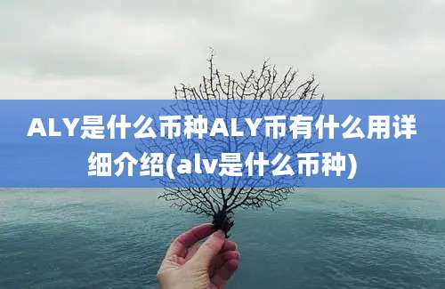 ALY是什么币种ALY币有什么用详细介绍(alv是什么币种)