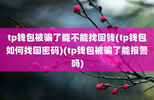 tp钱包被骗了能不能找回钱(tp钱包如何找回密码)(tp钱包被骗了能报警吗)