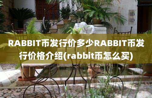 RABBIT币发行价多少RABBIT币发行价格介绍(rabbit币怎么买)