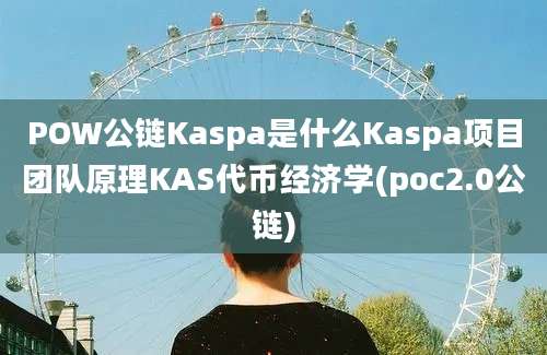 POW公链Kaspa是什么Kaspa项目团队原理KAS代币经济学(poc2.0公链)