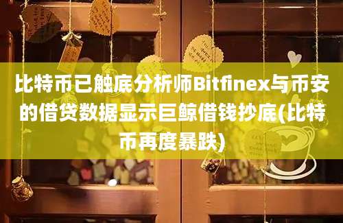 比特币已触底分析师Bitfinex与币安的借贷数据显示巨鲸借钱抄底(比特币再度暴跌)