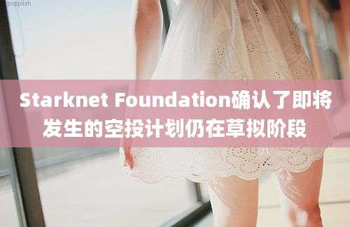 Starknet Foundation确认了即将发生的空投计划仍在草拟阶段