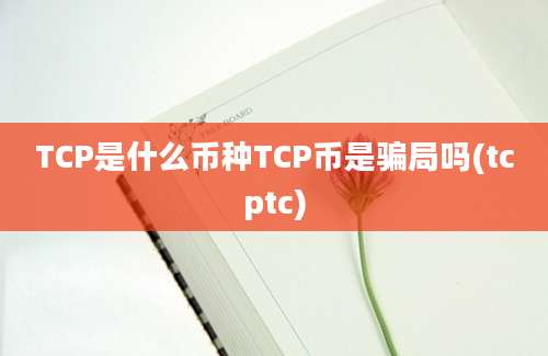 TCP是什么币种TCP币是骗局吗(tcptc)