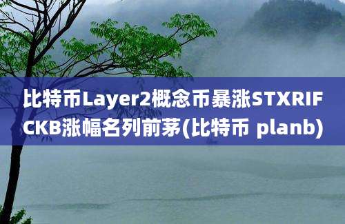 比特币Layer2概念币暴涨STXRIFCKB涨幅名列前茅(比特币 planb)