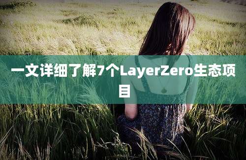 一文详细了解7个LayerZero生态项目