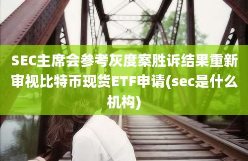 SEC主席会参考灰度案胜诉结果重新审视比特币现货ETF申请(sec是什么机构)