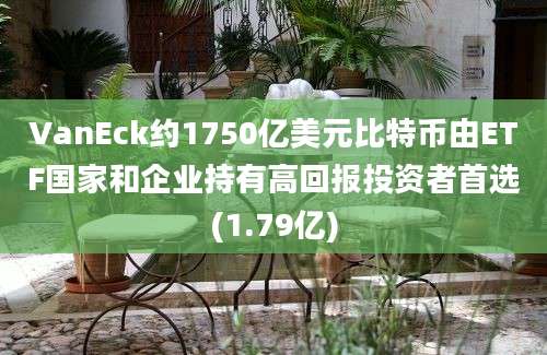 VanEck约1750亿美元比特币由ETF国家和企业持有高回报投资者首选(1.79亿)