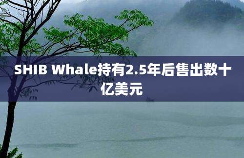 SHIB Whale持有2.5年后售出数十亿美元