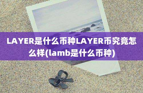 LAYER是什么币种LAYER币究竟怎么样(lamb是什么币种)