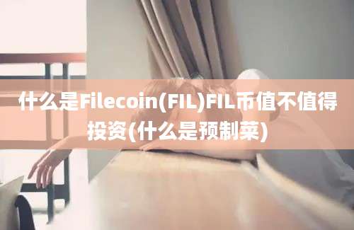 什么是Filecoin(FIL)FIL币值不值得投资(什么是预制菜)