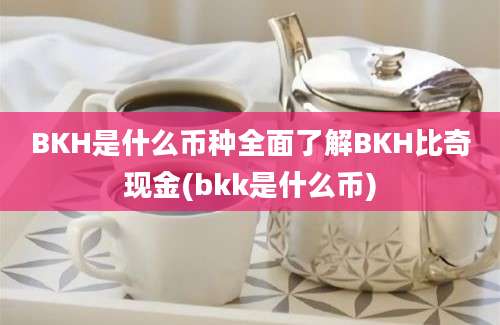 BKH是什么币种全面了解BKH比奇现金(bkk是什么币)