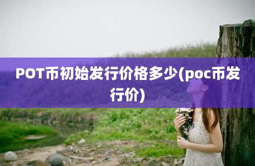 POT币初始发行价格多少(poc币发行价)