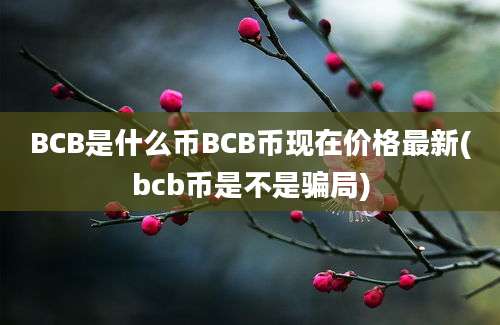 BCB是什么币BCB币现在价格最新(bcb币是不是骗局)